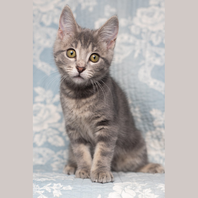 Photo of Storm