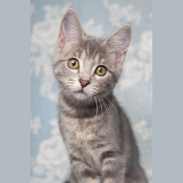 Photo of Storm