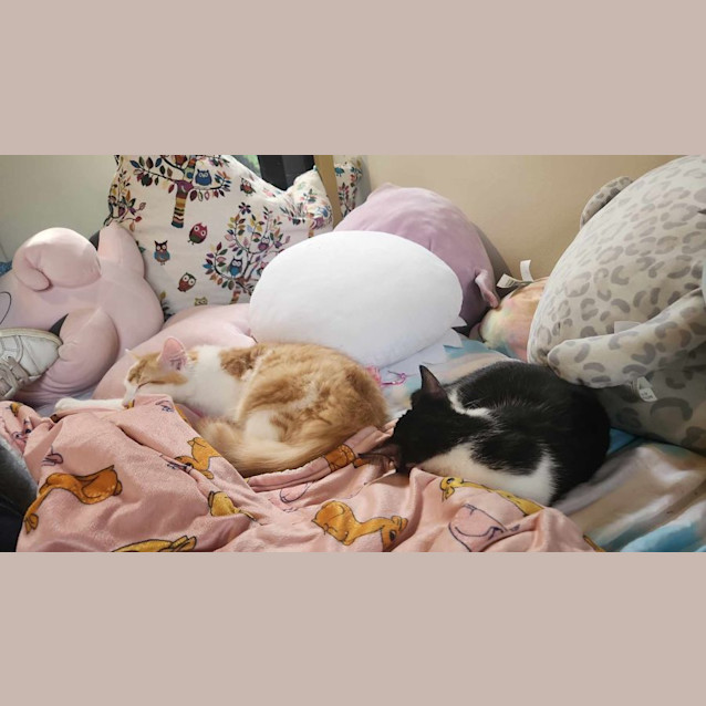 Photo of Luke Sky Pa Wker