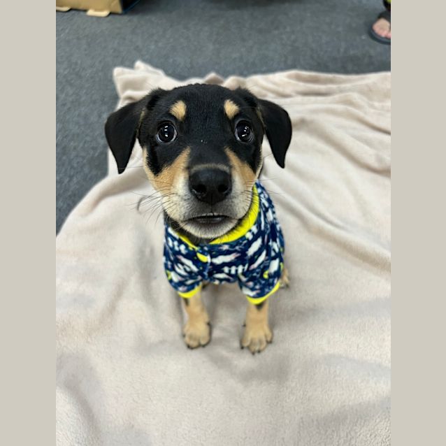 Photo of Harley