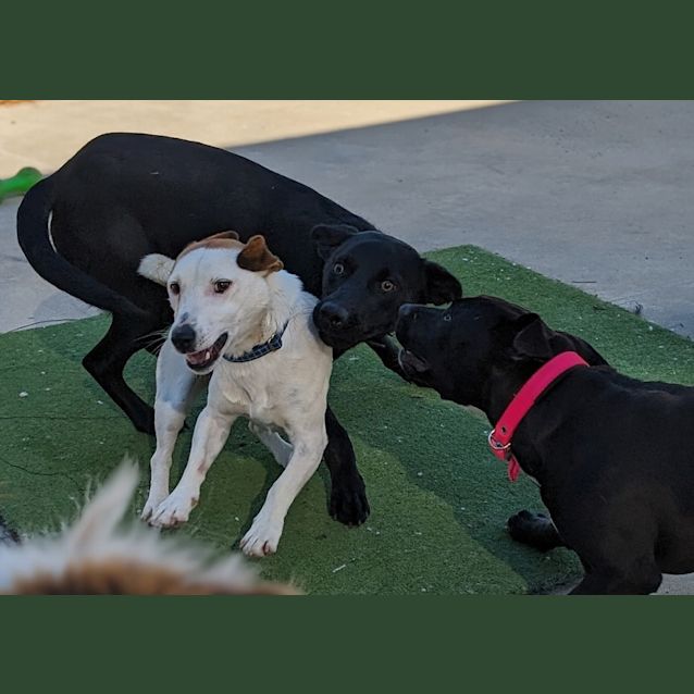 Photo of Oakley