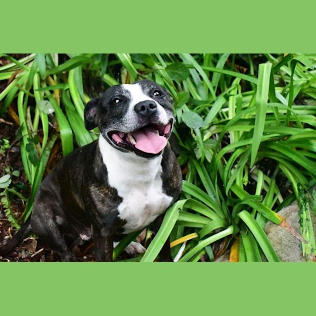 Photo of Little Miss Lucy