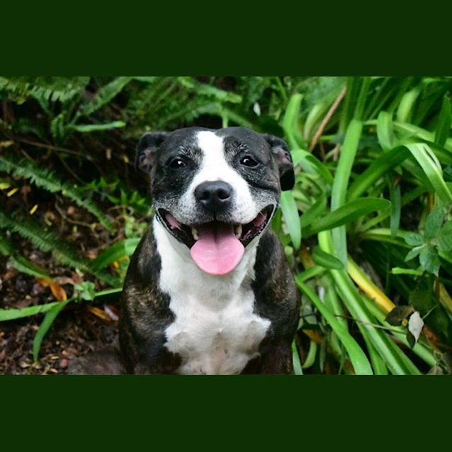 Photo of Little Miss Lucy