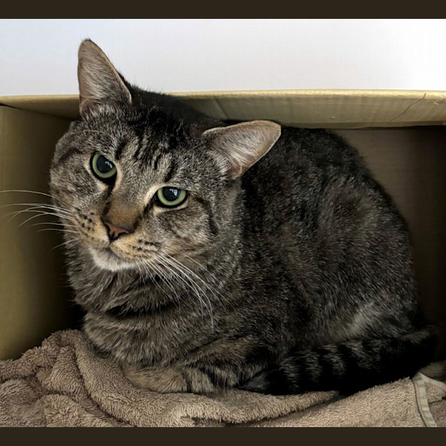 Photo of Larry Sta012314