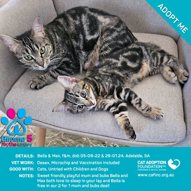 Photo of Bella & Max 2 For 1 Mum & Bubs Deal!