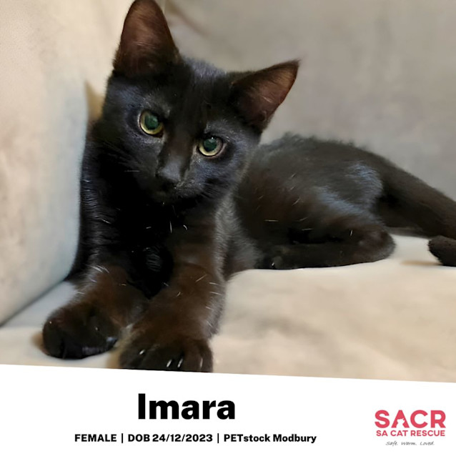 Photo of Imara