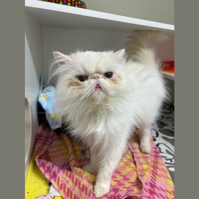 Photo of Morty