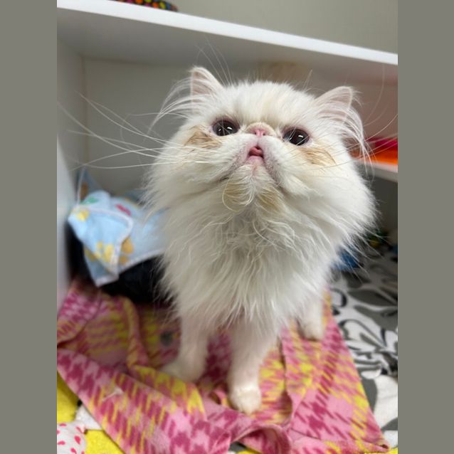 Photo of Morty