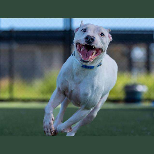 Photo of Patrick Imp 2567