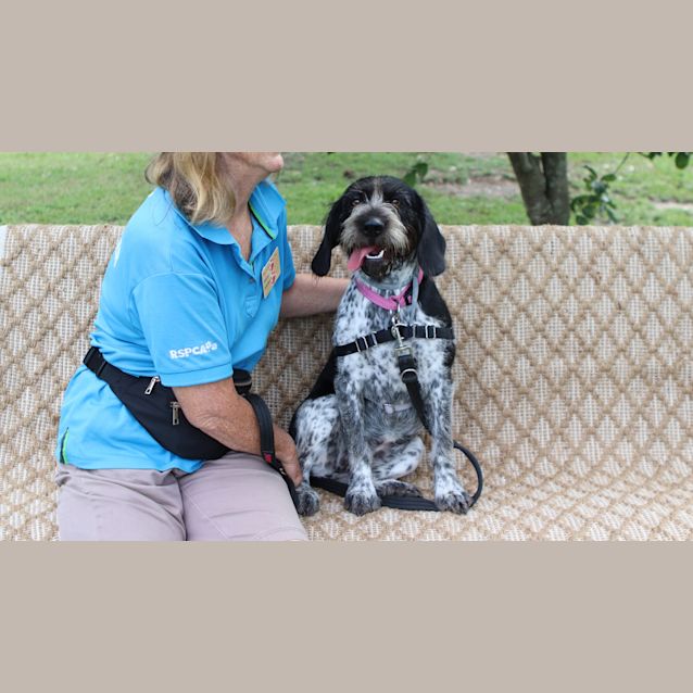 Photo of Shirley