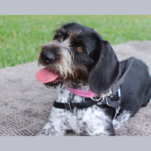 Photo of Shirley