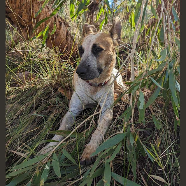 Photo of Maya