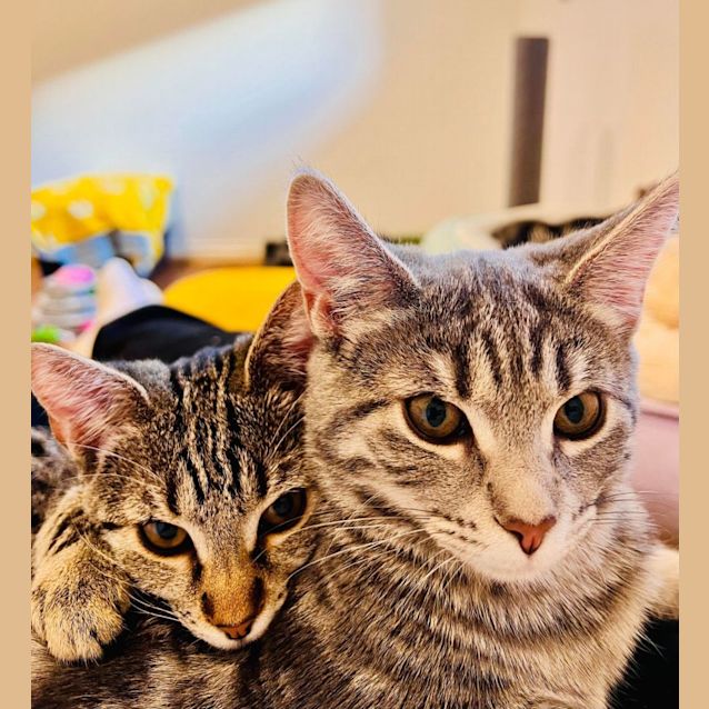 Photo of Maggie   Located In Doreen