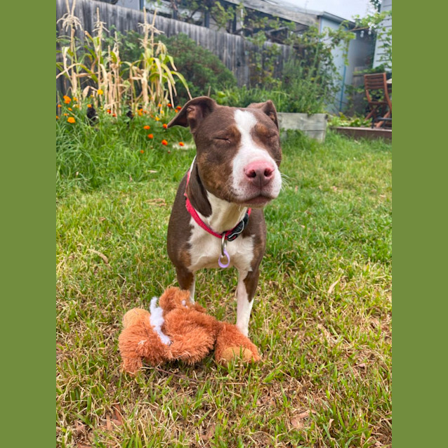 Photo of Linda The Lovelies Lady 