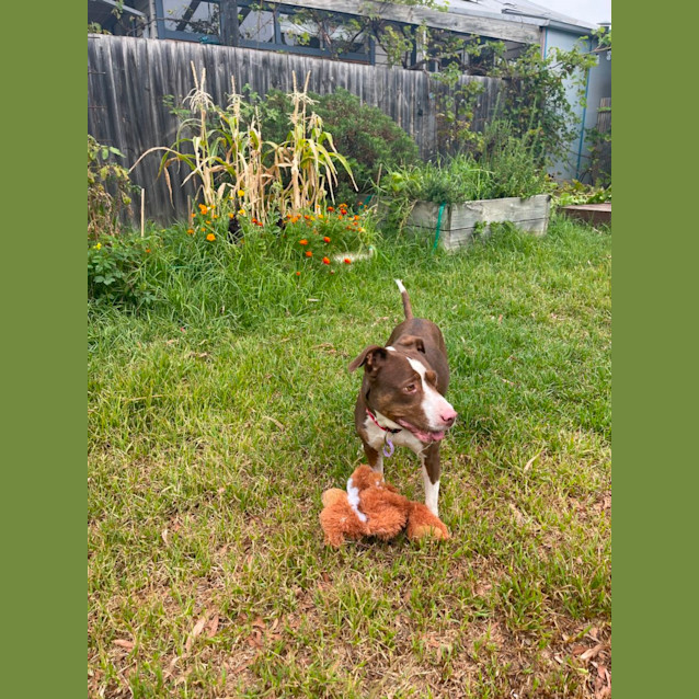 Photo of Linda The Lovelies Lady 