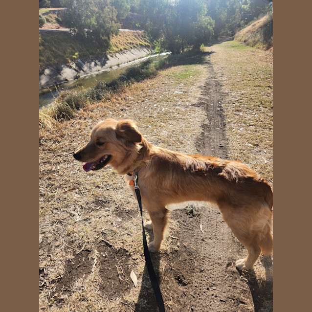 Photo of Shaboo
