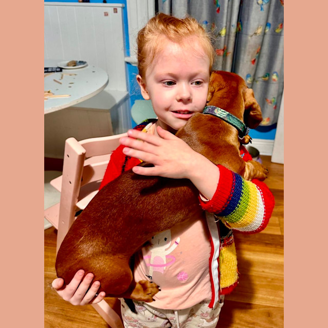 Photo of Frankie The Mini Dachshund