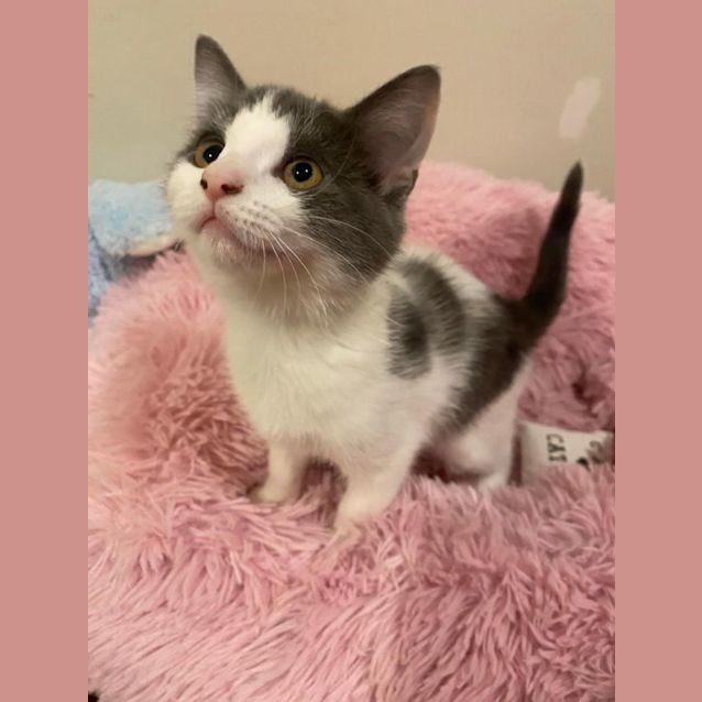 Photo of Pooh Bear 🍯 