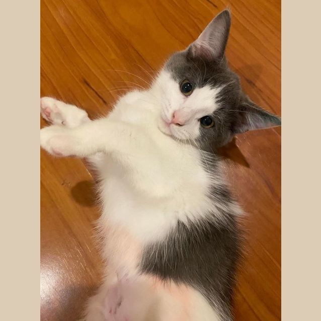 Photo of Pooh Bear 🍯 