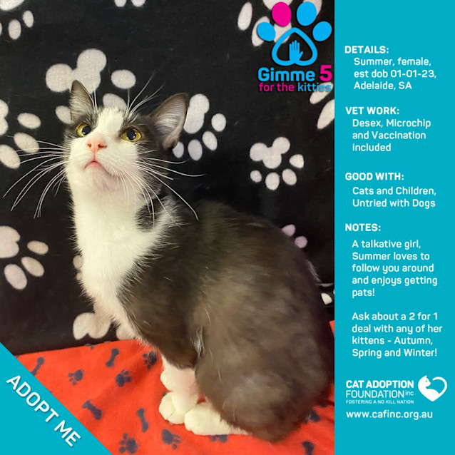 Photo of Summer Just $39 Limited Time!