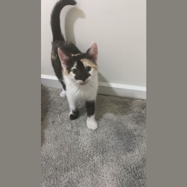 Photo of Ginny