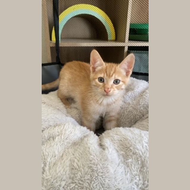 Photo of Arthur
