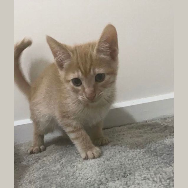Photo of Arthur