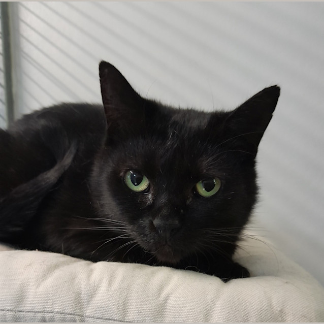 Photo of Zoe