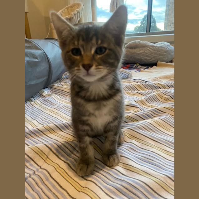 Photo of Albus