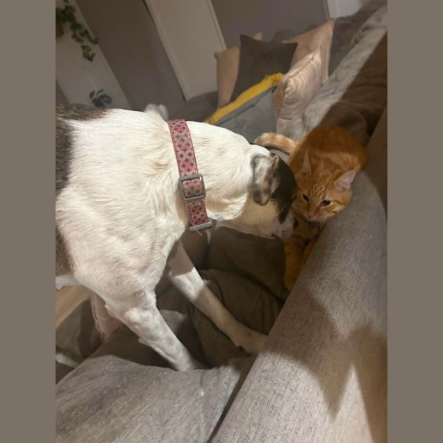 Photo of Clayton 🍊