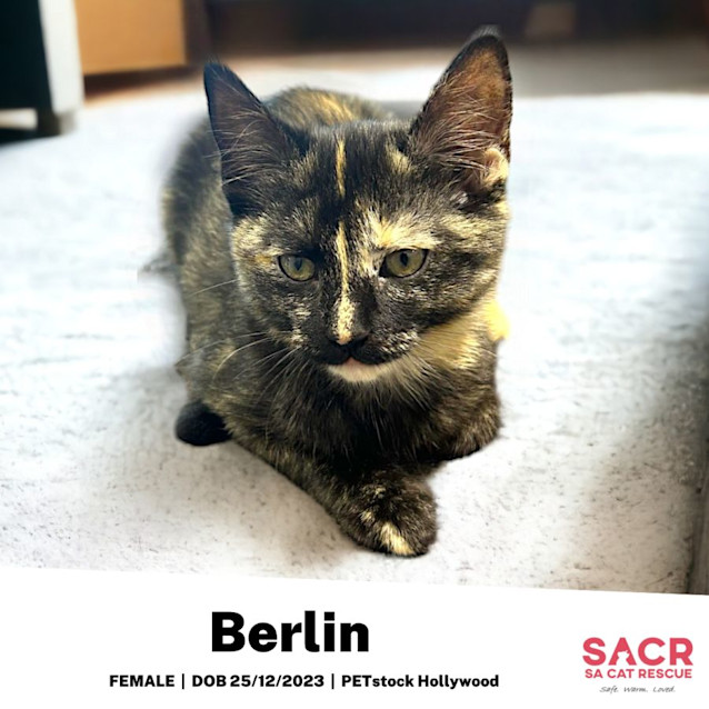 Photo of Berlin