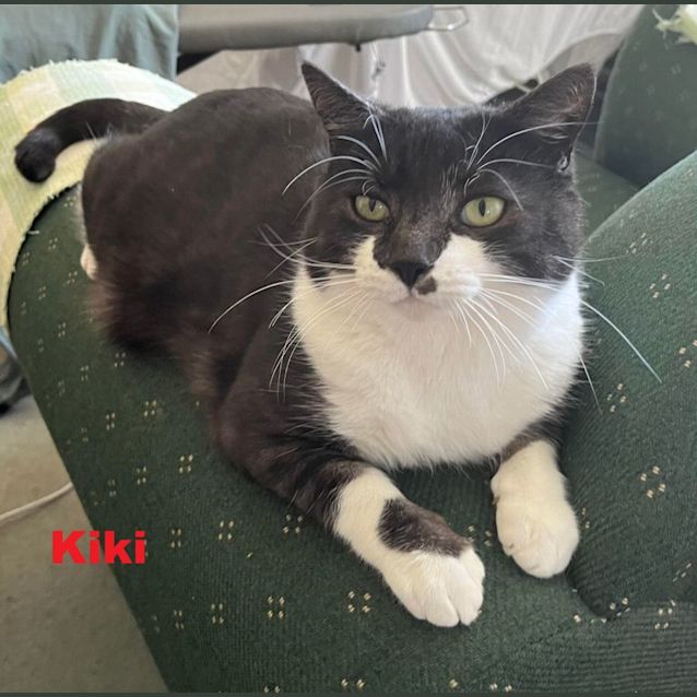 Photo of Kiki