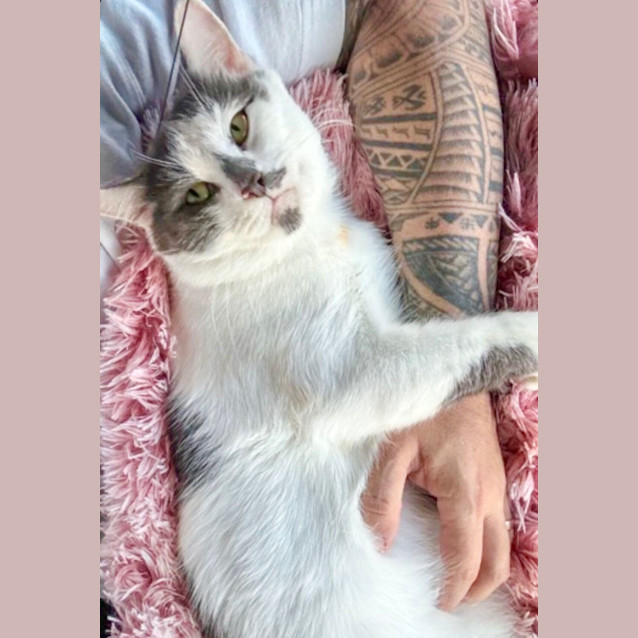 Photo of Lenny