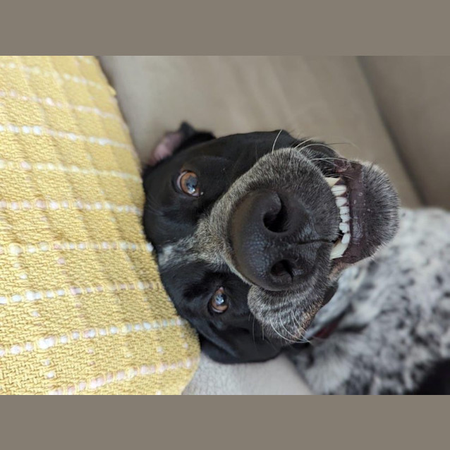 Photo of Bobby Overton