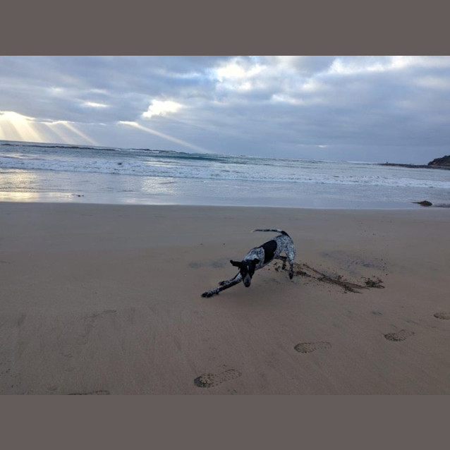 Photo of Bobby Overton