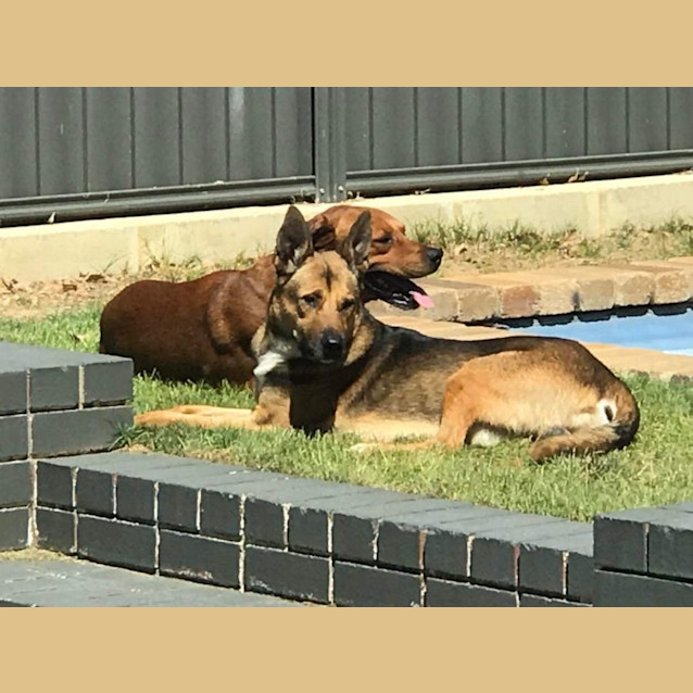 Photo of Phillip And Takarni 