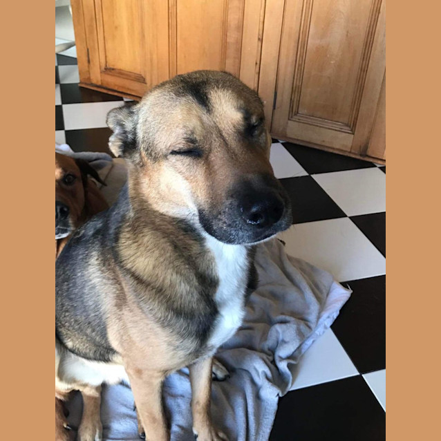 Photo of Phillip And Takarni 