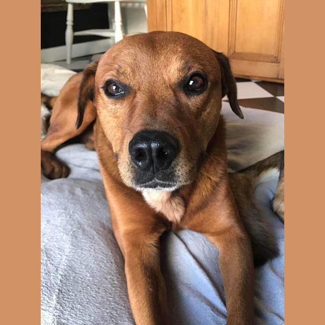 Photo of Phillip And Takarni 