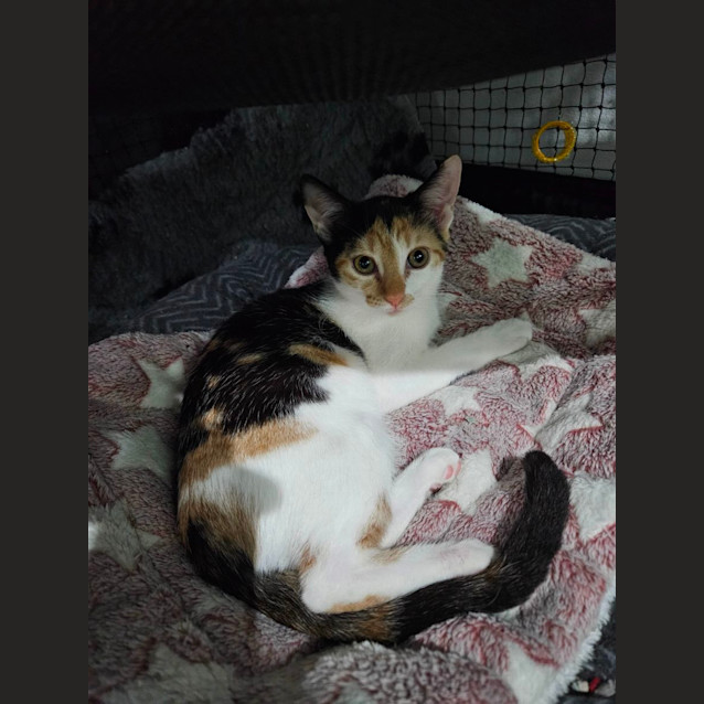 Photo of Eliza