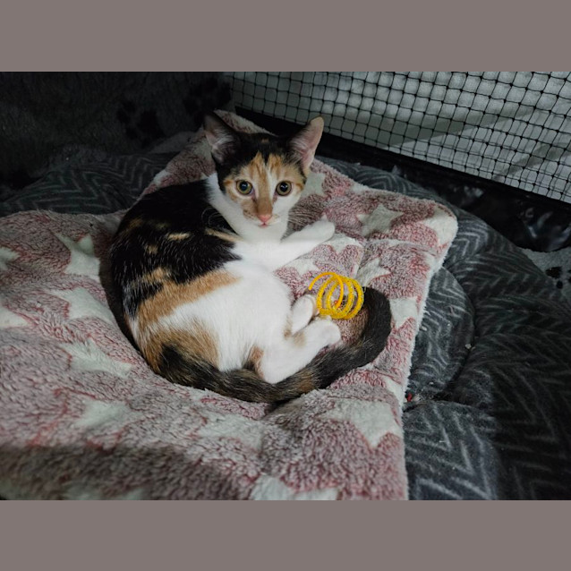 Photo of Eliza