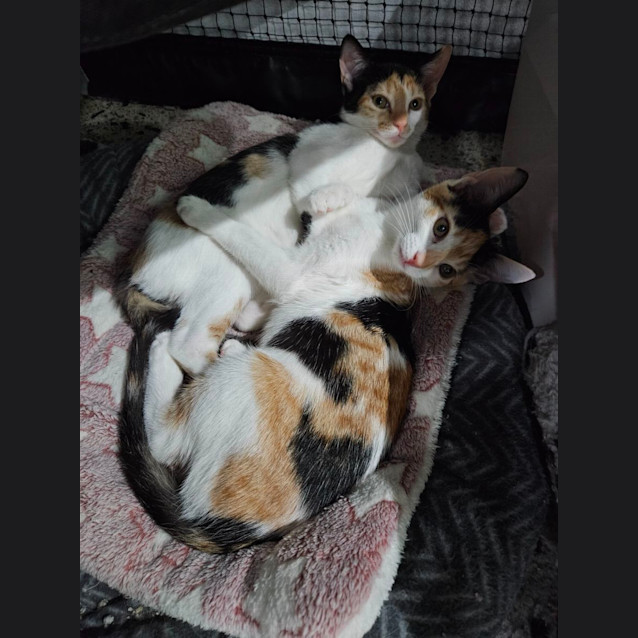 Photo of Eliza