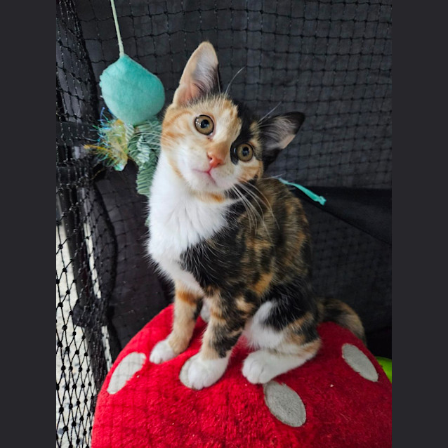 Photo of Peggy