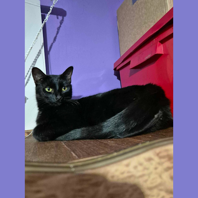 Photo of Lily & Phoebe 🌸🌸