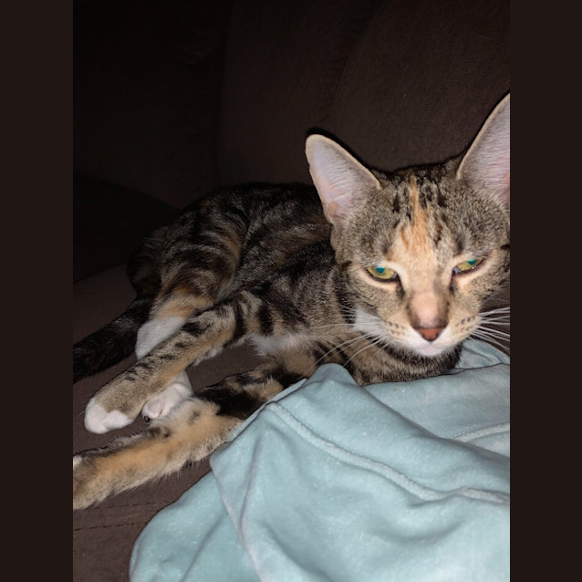 Photo of Elsa