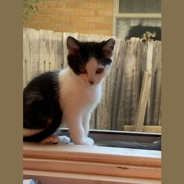 Photo of Mimi