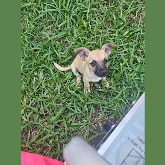 Photo of Mugsy