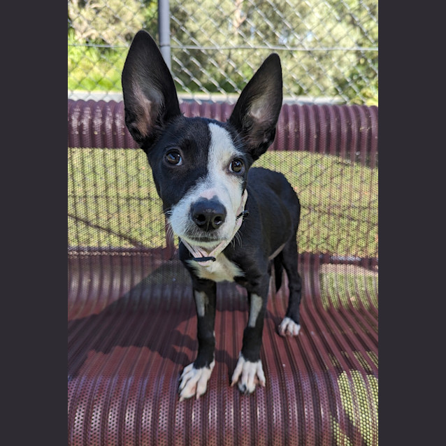 Photo of Maya