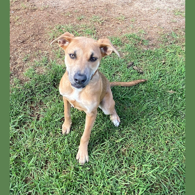 Photo of Ruby