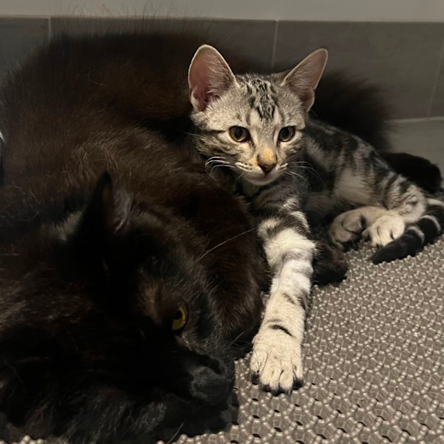 Photo of Reggie 🌀