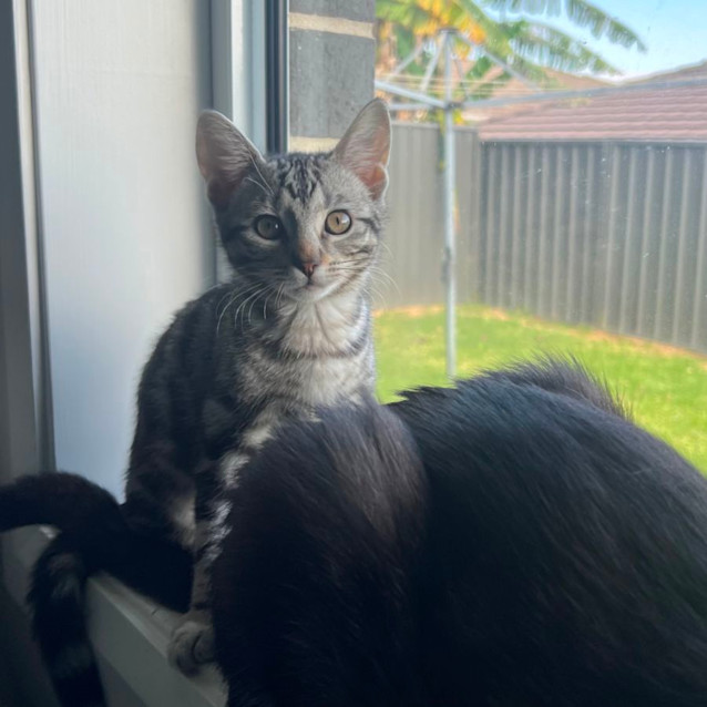 Photo of Reggie 🌀